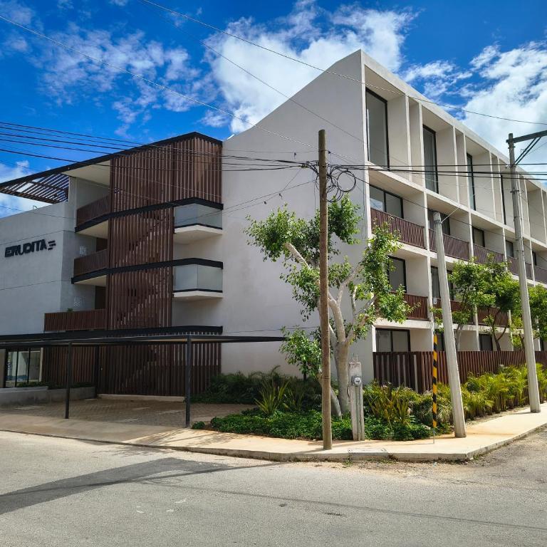 Erudita 12 Mérida Yucatan - One-Bedroom Apartment - 30