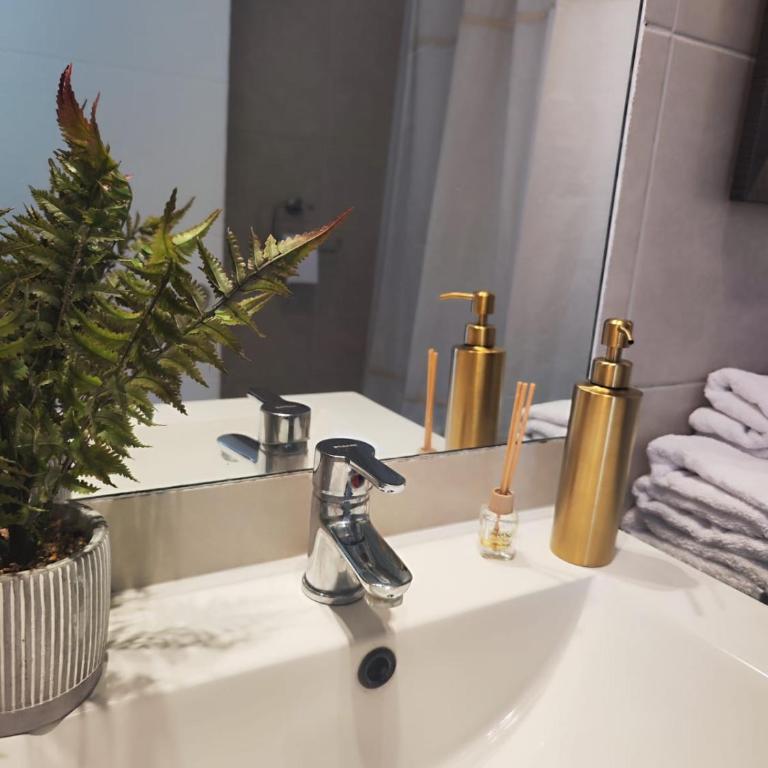 707,Vista espectacular - Two-Bedroom Apartment - 14