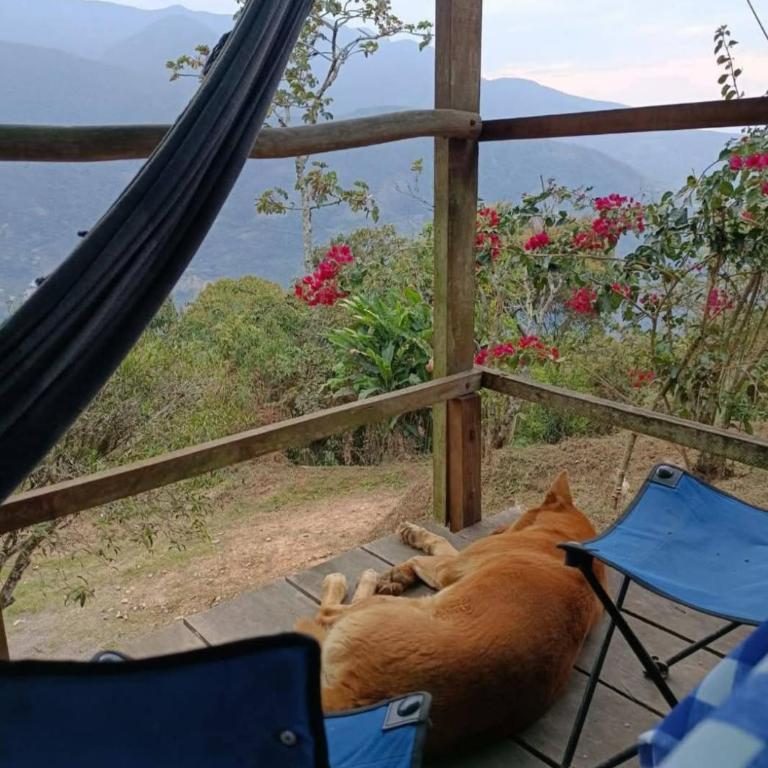 Cabañas Julio Crespo - Coroico - Vacation Home - 5