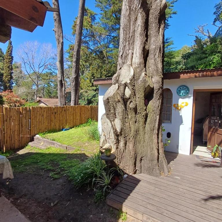 Casa tipo Loft muy Luminosa - Apartamento de 1 dormitorio - 11