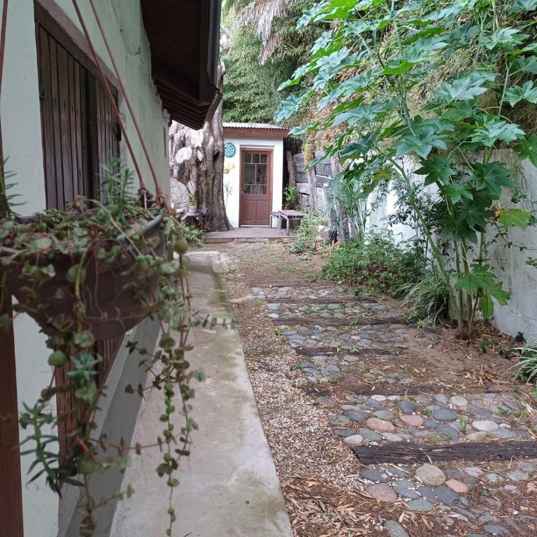 Casa tipo Loft muy Luminosa - Apartamento de 1 dormitorio - 18