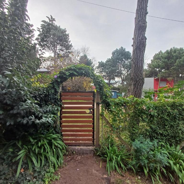 Casa tipo Loft muy Luminosa - Apartamento de 1 dormitorio - 22