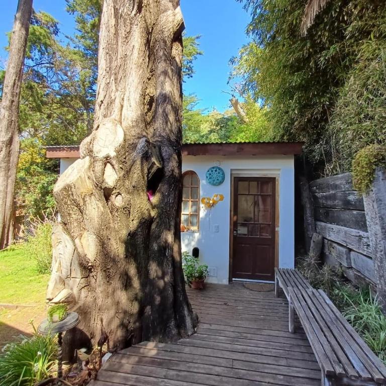 Casa tipo Loft muy Luminosa - Apartamento de 1 dormitorio - 26