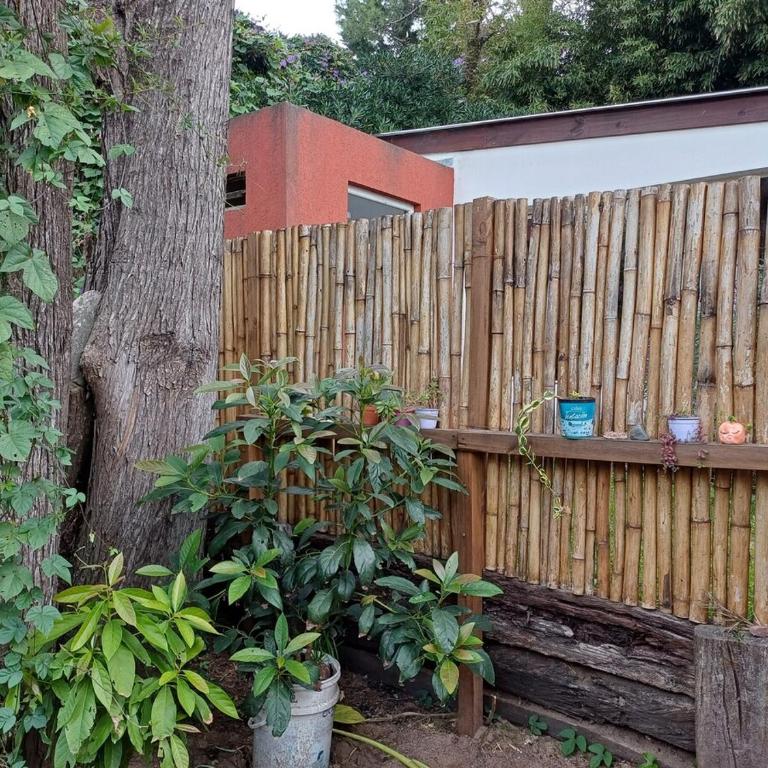 Casa tipo Loft muy Luminosa - Apartamento de 1 dormitorio - 32