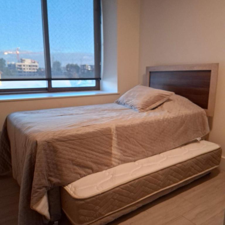 Lake view-Volcanoes and nature - Apartamento de 1 dormitorio - 4