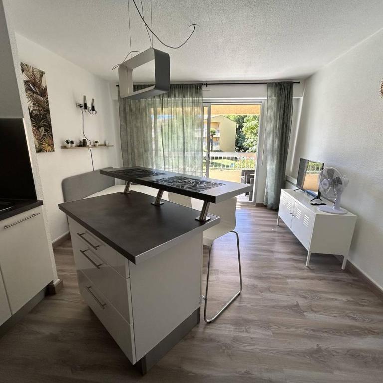 Studio rénové avec terrasse et parking au Lavandou - FR-1-251-871 - Apartment - 2