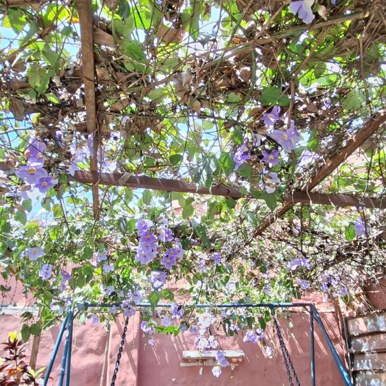 Casa Micha - Hospedaje temporal en Asunción - One-Bedroom Apartment - 27
