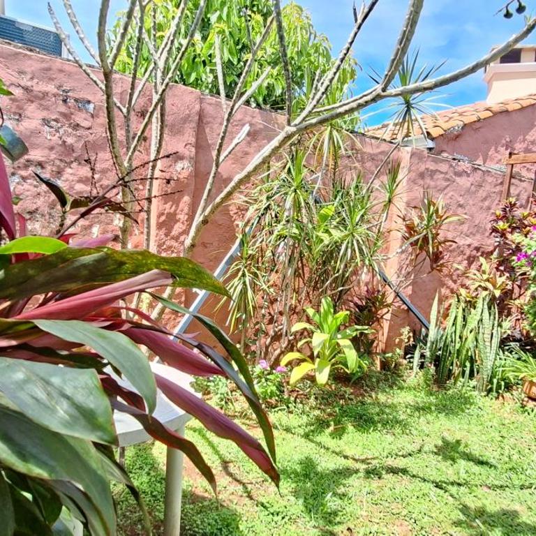 Casa Micha - Hospedaje temporal en Asunción - One-Bedroom Apartment - 26