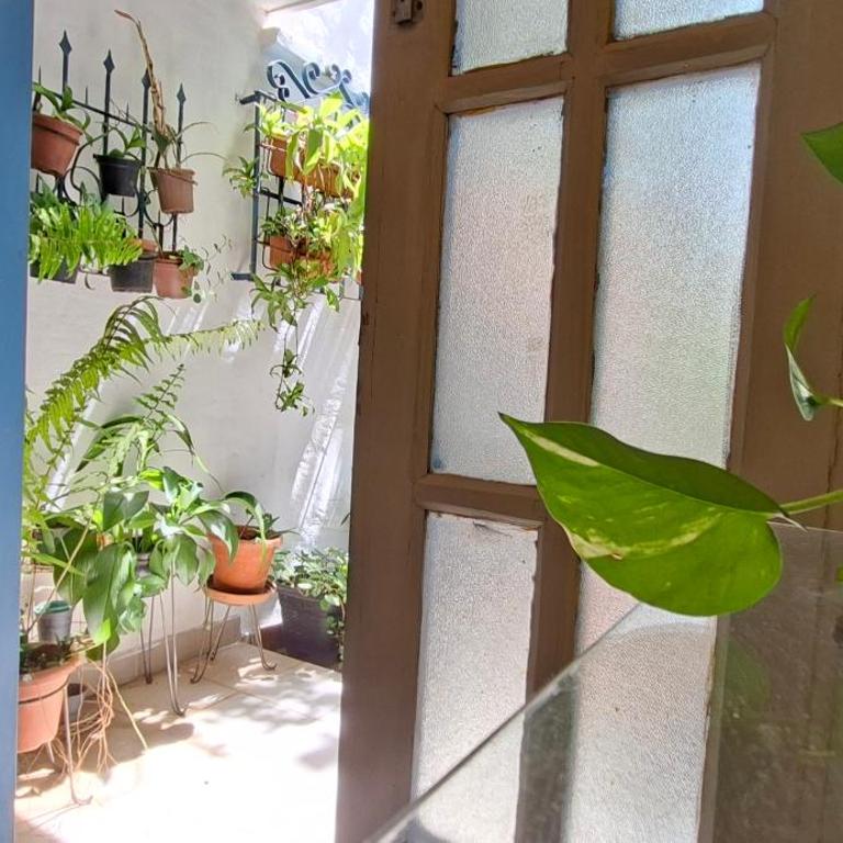 Casa Micha - Hospedaje temporal en Asunción - One-Bedroom Apartment - 30