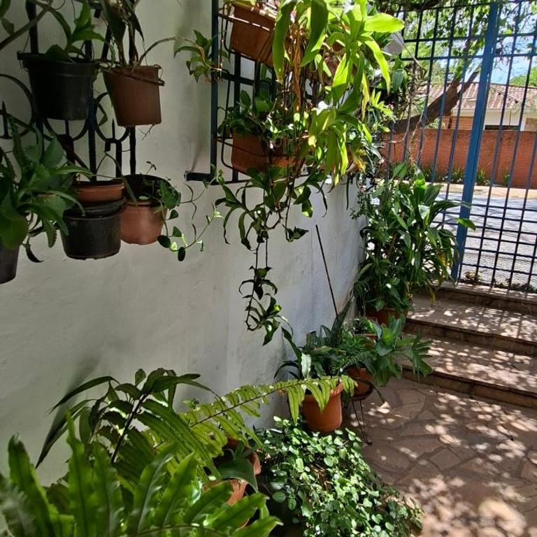 Casa Micha - Hospedaje temporal en Asunción - One-Bedroom Apartment - 31