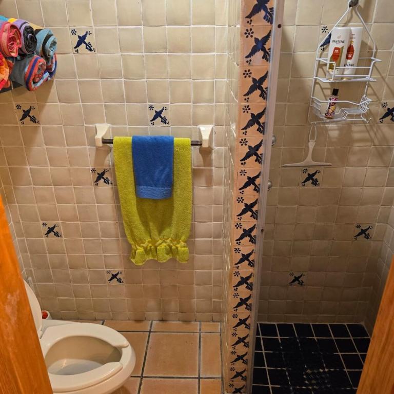 Gorgeous Puerto Vallarta Home! - Apartamento de 1 dormitorio - 14