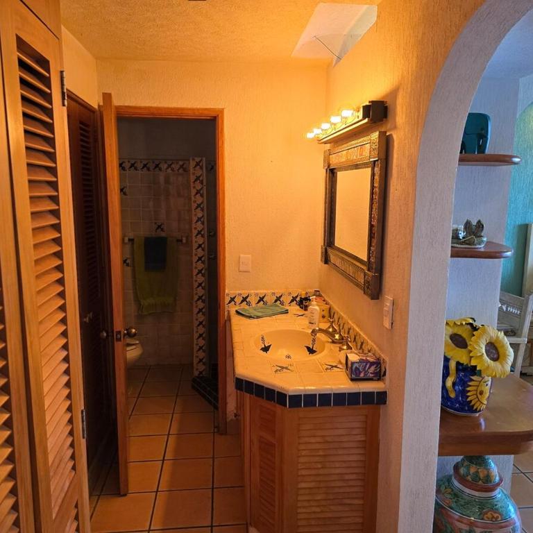 Gorgeous Puerto Vallarta Home! - Apartamento de 1 dormitorio - 13