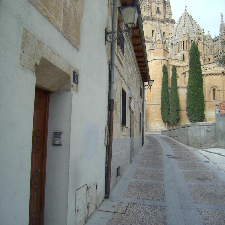 Apartamentos Suites&Homes - Apartamento de 1 dormitorio con patio - calle Arcediano, 6 - 14
