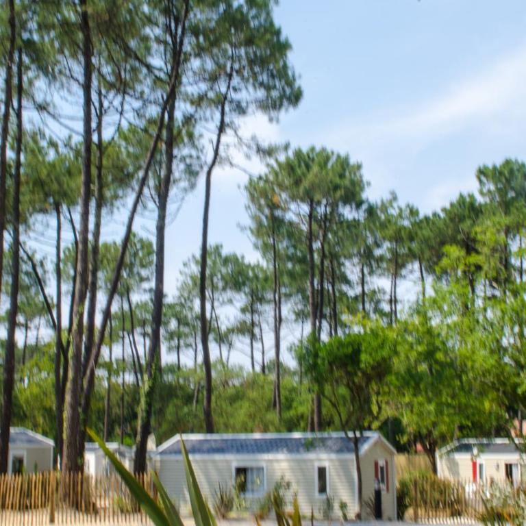 Cap Océan - Mobilheim mit 1 Schlafzimmer - 1