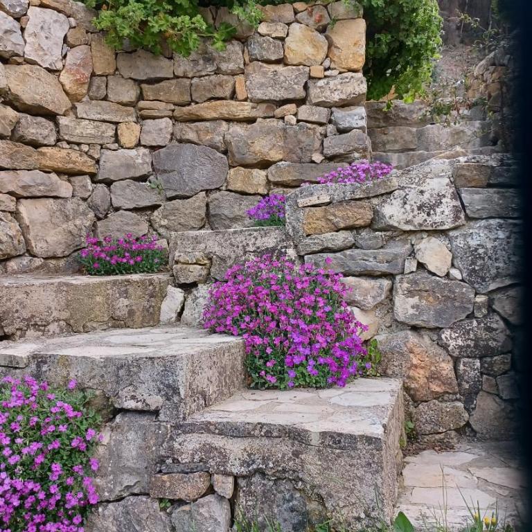 Le Clos Manon - Villa 3 Chambres - 70