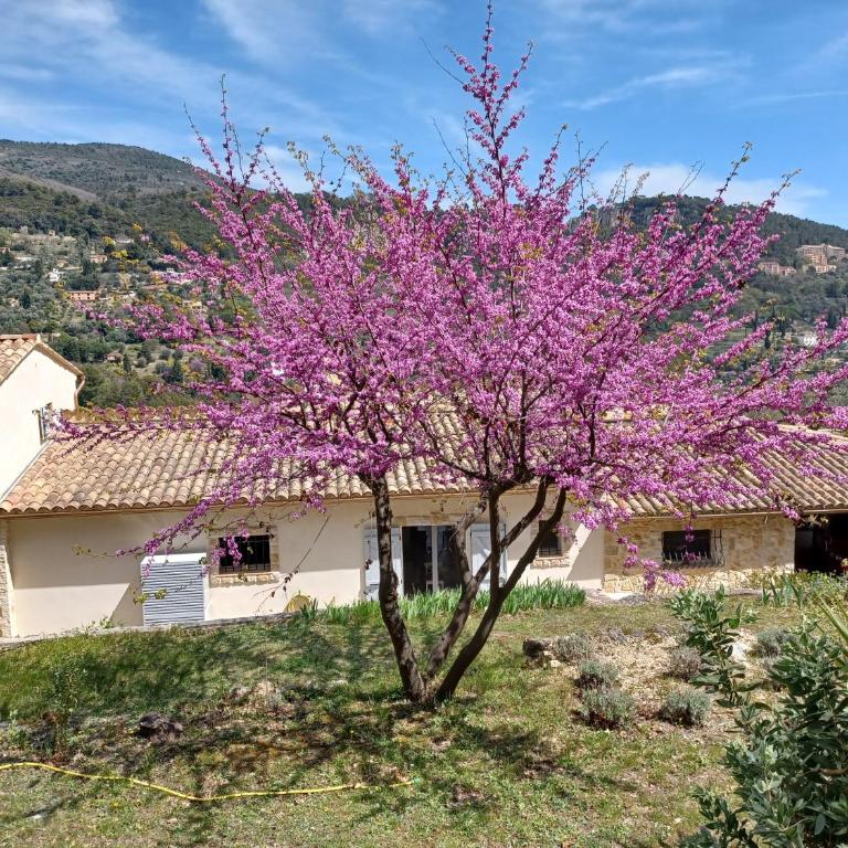 Le Clos Manon - Villa 3 Chambres - 72