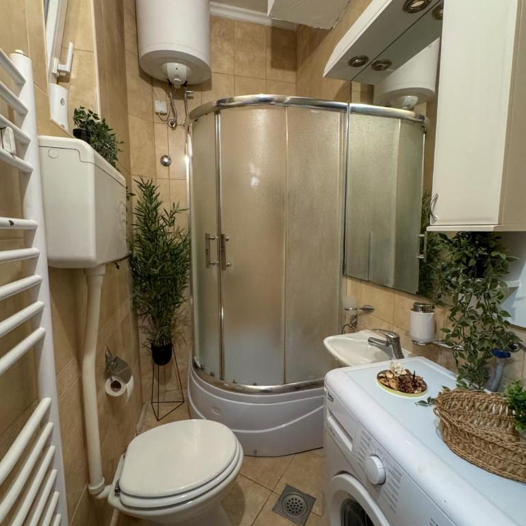 Caldera Apartment - One-Bedroom Apartment with Terrace - 24