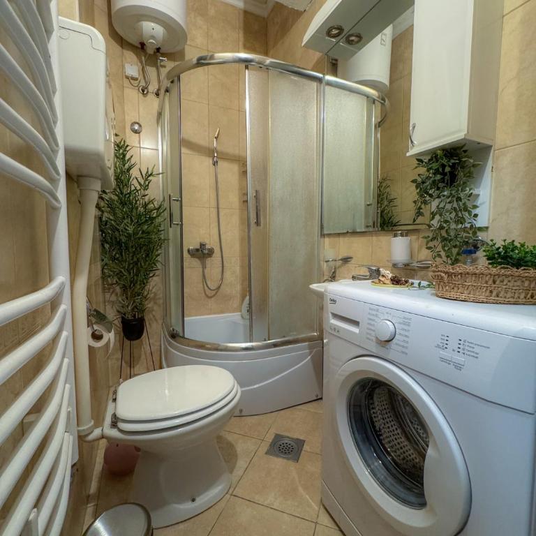 Caldera Apartment - One-Bedroom Apartment with Terrace - 8