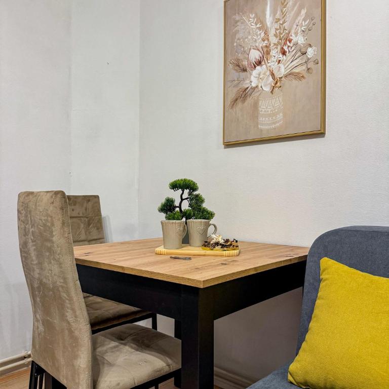 Caldera Apartment - One-Bedroom Apartment with Terrace - 34
