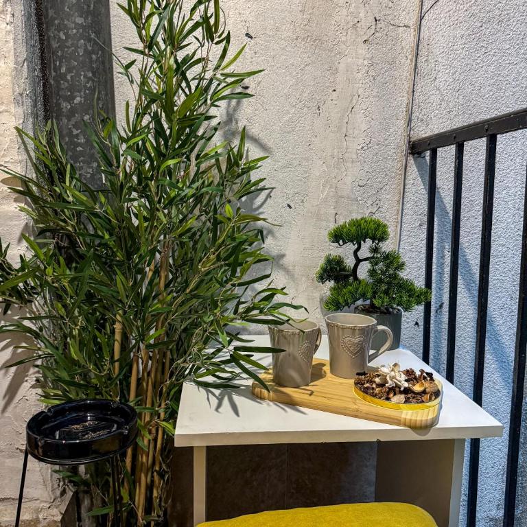 Caldera Apartment - One-Bedroom Apartment with Terrace - 10