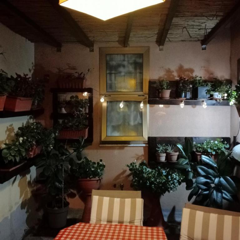 la stanza di max - Appartamento con 1 Camera da Letto - 3