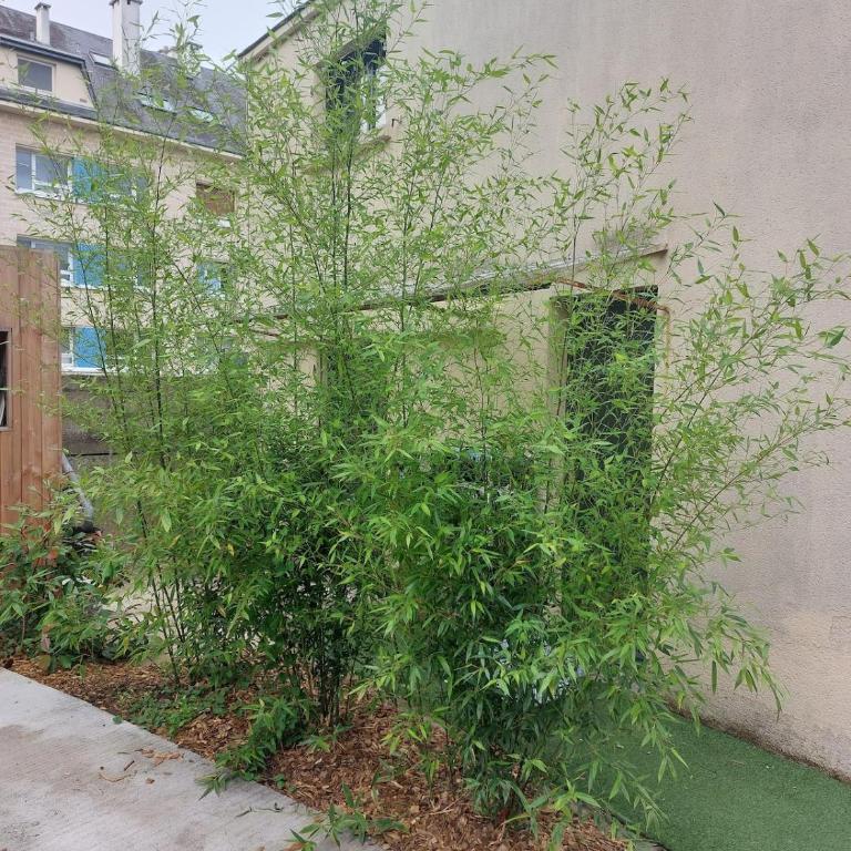 House in Caen - Maison 2 Chambres - 13