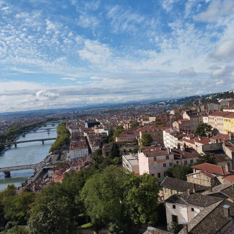 Le belvédère de Lyon - Quartier Croix-Rousse - Apartment mit 1 Schlafzimmer - 11