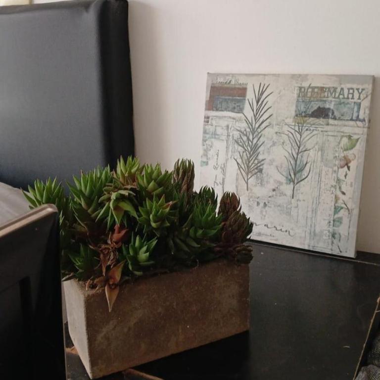 DISEÑO Y CONFORD EN PLENO CENTRO Porteño - Estudio Familiar - 14