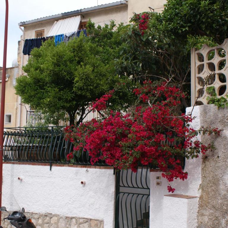 Aura Maris - Casa Vacanze - 3