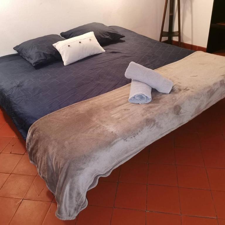 Avignon Grand Mas XXL avec Piscine, parc et Mazet - Maison 7 Chambres - 22
