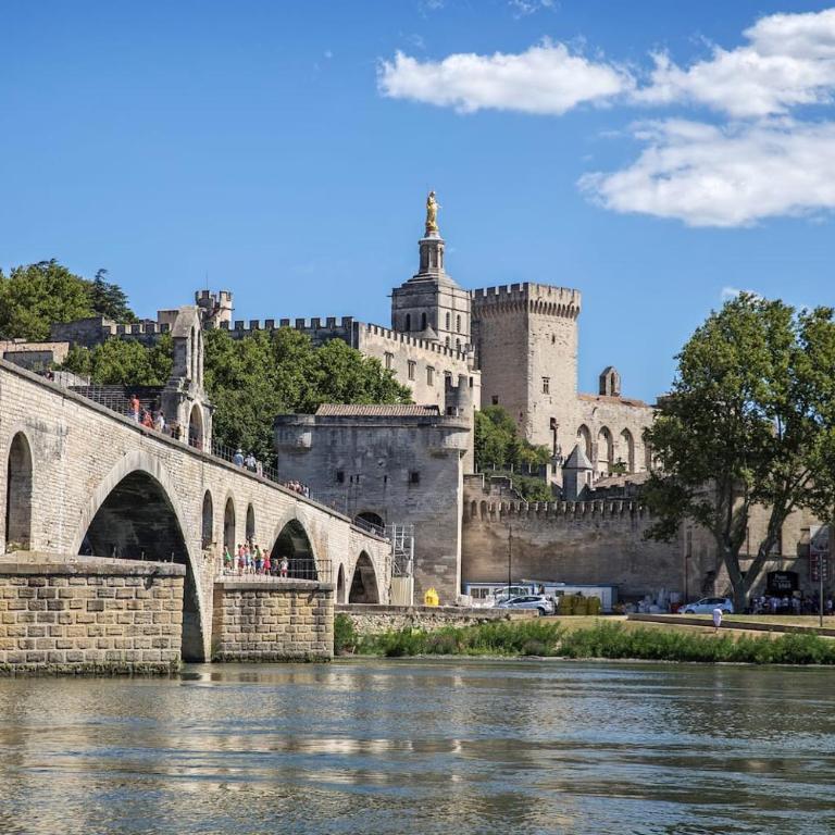 Avignon Grand Mas XXL avec Piscine, parc et Mazet - Maison 7 Chambres - 31