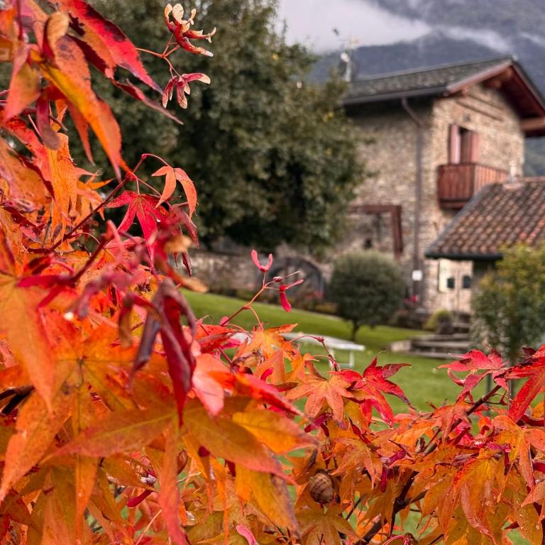 Il Granaio - Historic Molino Maufet Watermill - Lake Como - Casa con Vista Giardino - 38