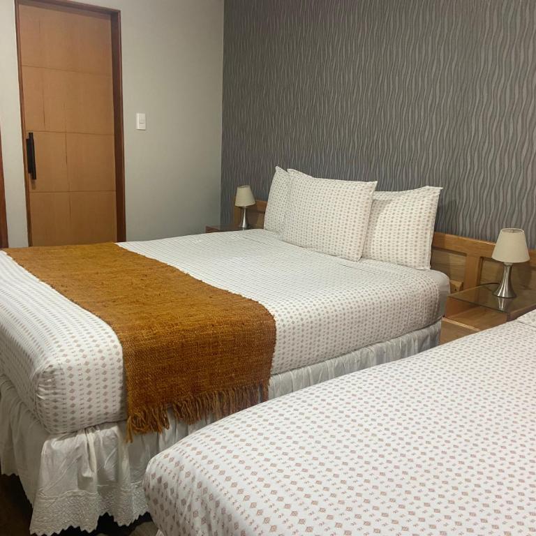 Cabañas Bosque Austral - One-Bedroom Apartment - 11