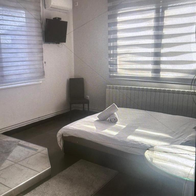 Bela Ruza - Apartman - Prizemlje - 5