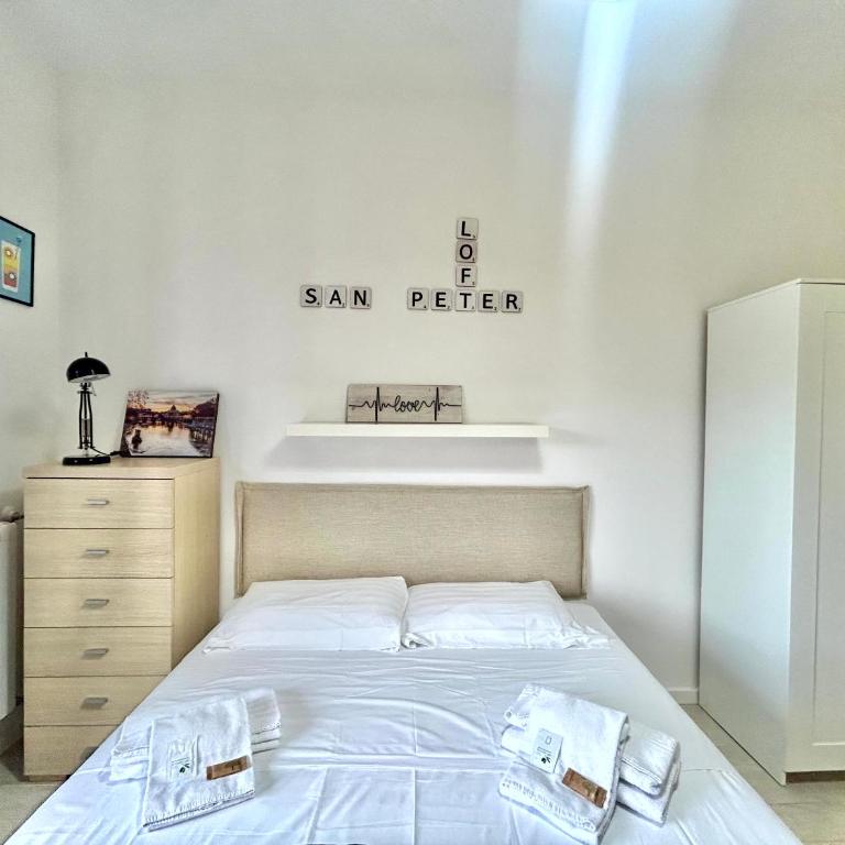 San Peter loft - Monolocale con Balcone - 52