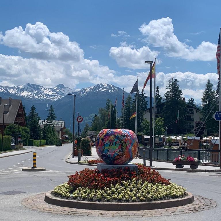 Alpine Nest Crans-Montana - Apartamento de 2 dormitorios - 30
