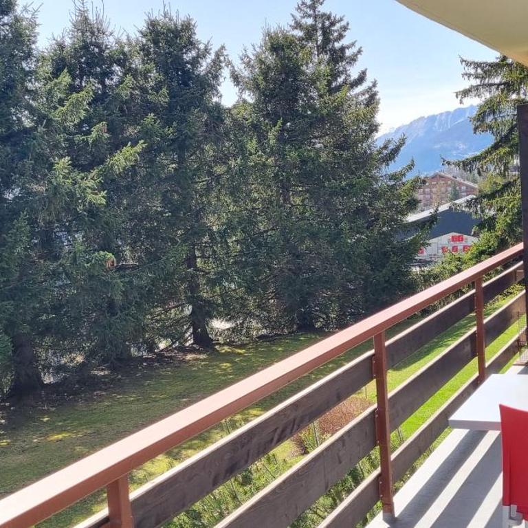Alpine Nest Crans-Montana - Apartamento de 2 dormitorios - 26