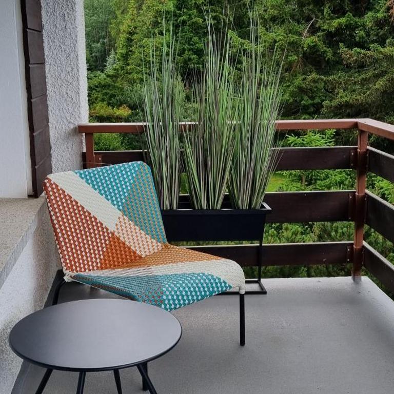 Alpine Nest Crans-Montana - Apartamento de 2 dormitorios - 28