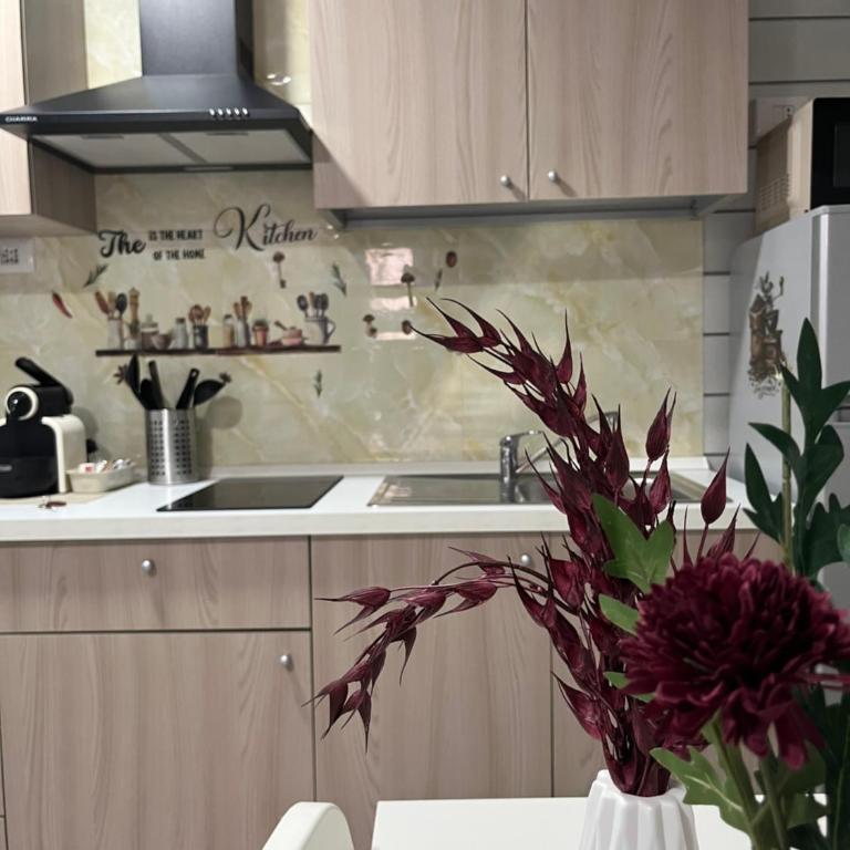 Casa Raile 2 - One-Bedroom House - 1