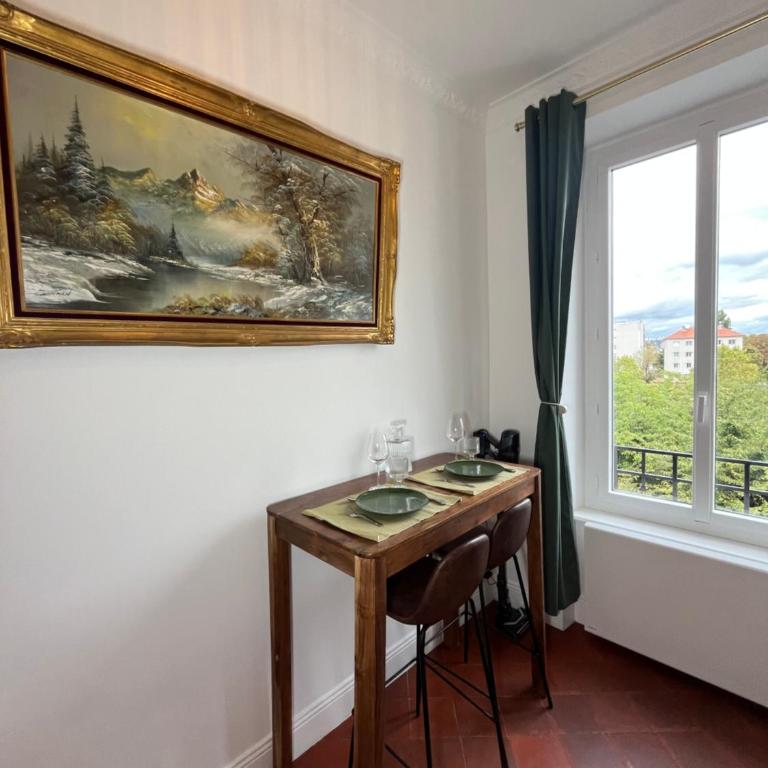Appartement de charme - Parking privé gratuit - Métro proche - Cours Emile Zola - Appartement 1 Chambre - 8