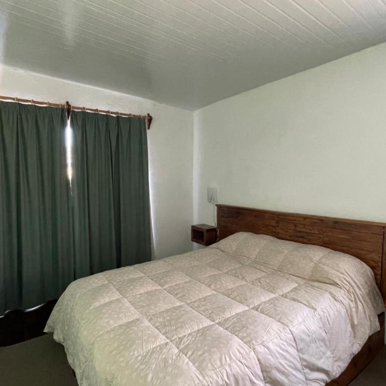 The Green House 2 - Casa - 16