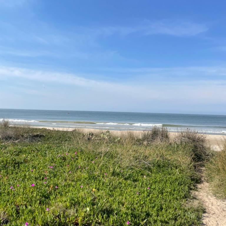 The Green House 2 - Casa - 19