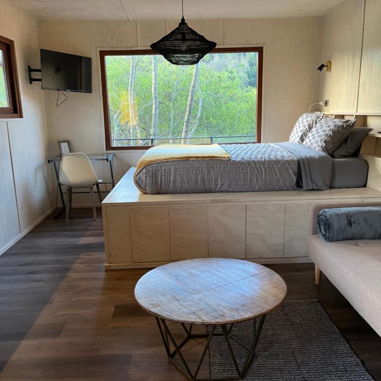 Tiny house río Calle Calle - One-Bedroom House - 16