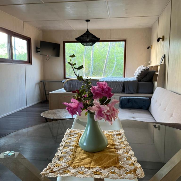 Tiny house río Calle Calle - One-Bedroom House - 15