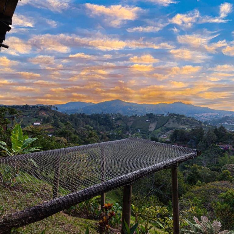 Roots Eco House - Suite con vistas a la montaña - 5