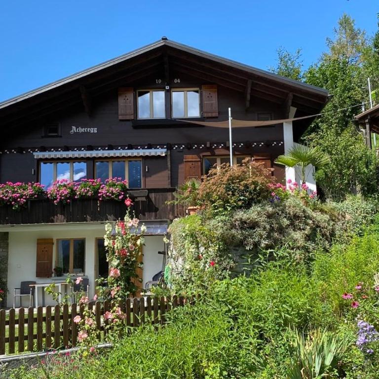 Chalet Acheregg - Apartment mit 1 Schlafzimmer - 50
