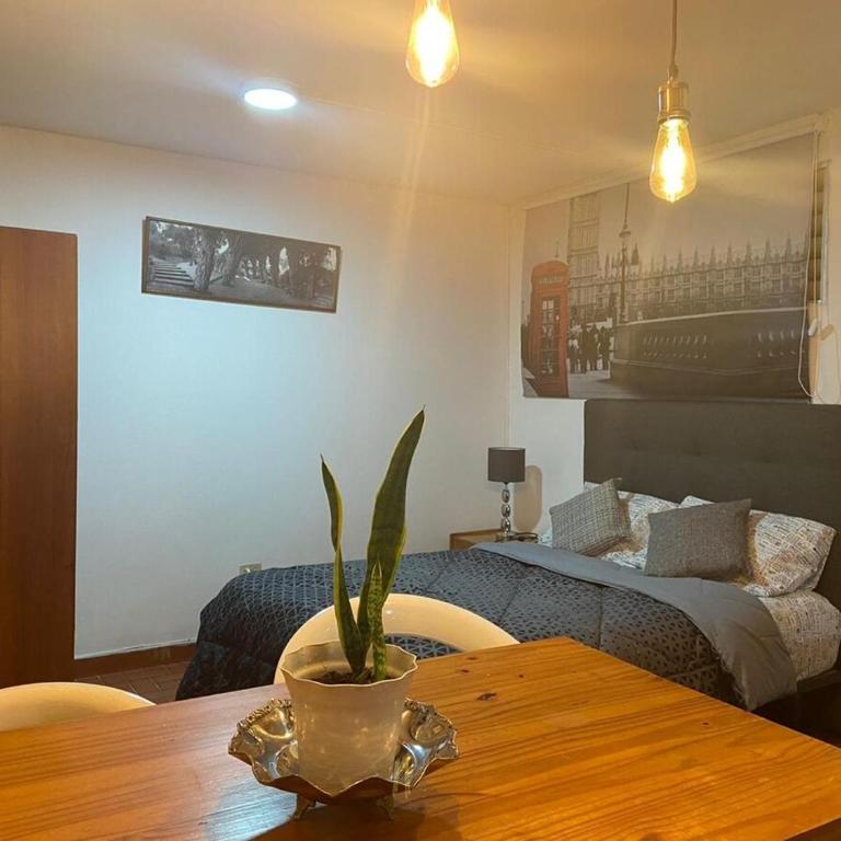 CANEY Traveller House - One-Bedroom Apartment - 2