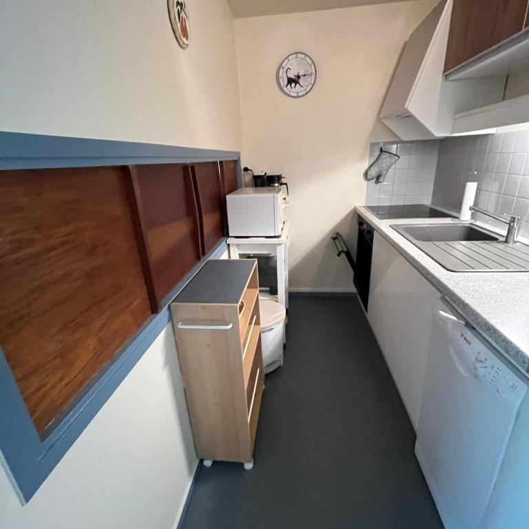 Loue appartement au Mont Dore AUVERGNE - Apartment mit 1 Schlafzimmer - 9