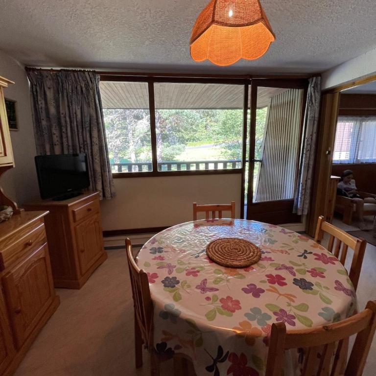 Loue appartement au Mont Dore AUVERGNE - Apartment mit 1 Schlafzimmer - 1