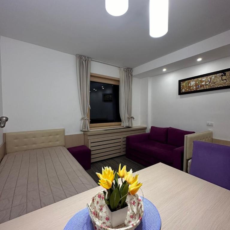Angela 103 - One-Bedroom Apartment - 2